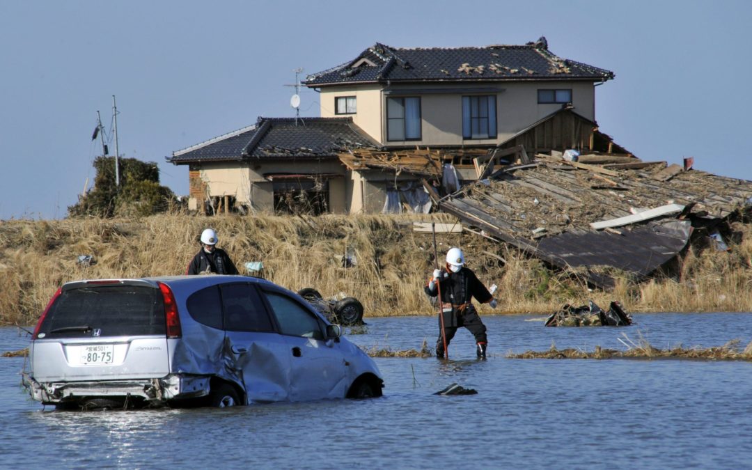 Studio dell’Unical sullo tsunami giapponese
«Causò un innalzamento del Mediterraneo»