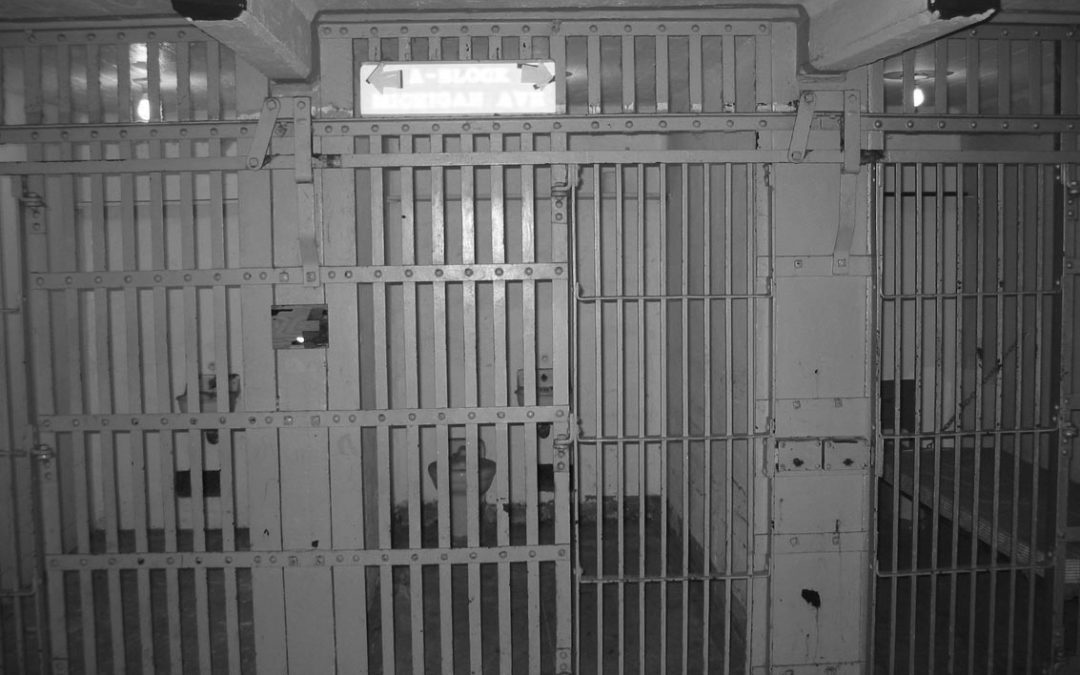 Vibo, detenuto si suicida in carcere
Si è impiccato in cella con una cintura