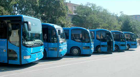 Autobus con decine di studenti
va fuori strada a Drapia: tutti illesi