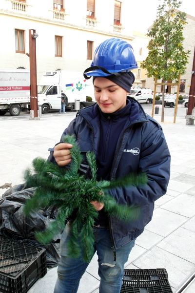 Potenza si prepara al Natale
In piazza tra luminarie e albero