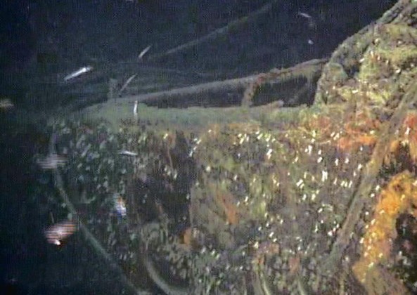 Si riapre il caso della nave Cunsky
Ombre sulla morte del pentito Fonti