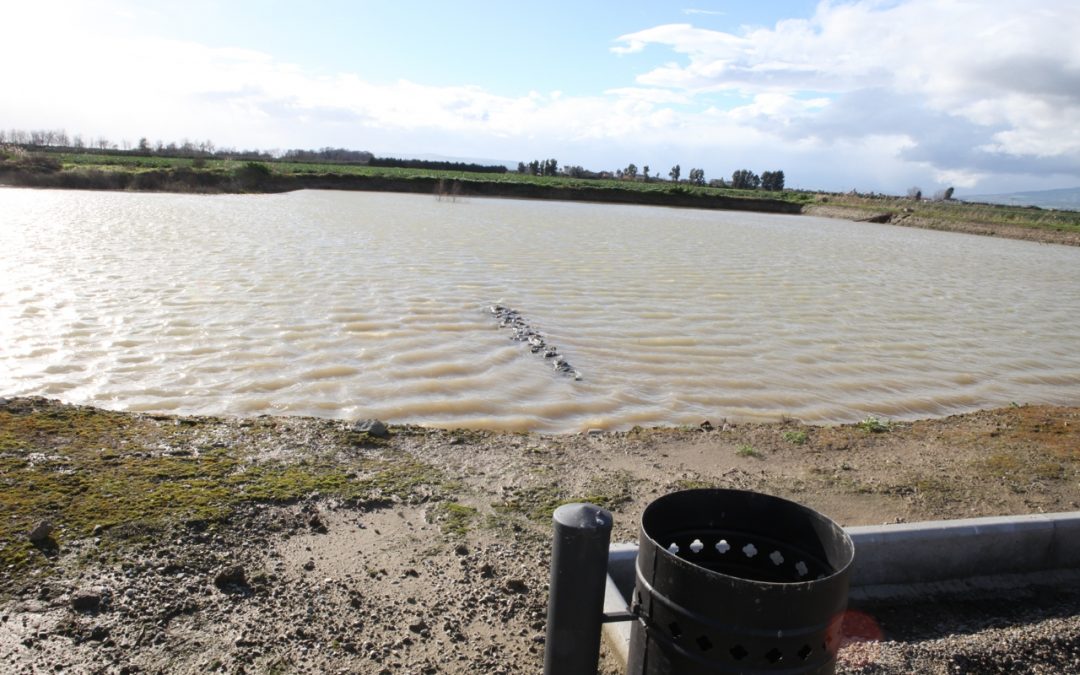 L’antica Sibari nel fango