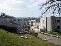 Scoperti a disegnare graffiti all'Unical
Quattro giovani in stato di fermo