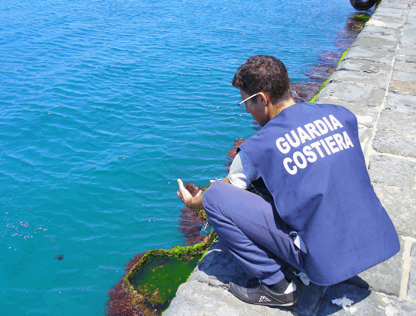 Sorpresi con 5.000 ricci di mare nel reggino
Denunciati pescatori di frodo in azione a Vibo