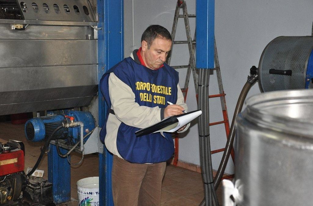 Cosenza, la Forestale sequestra due frantoi
I militari hanno individuato scarichi inquinanti