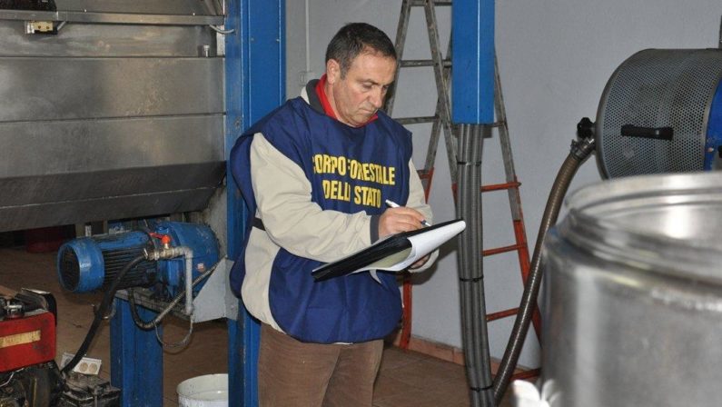 Cosenza, la Forestale sequestra due frantoi
I militari hanno individuato scarichi inquinanti
