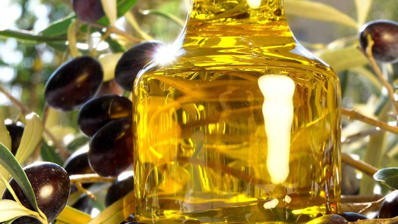 Nuova tecnica Unical per valutare
la freschezza dell'olio d'oliva