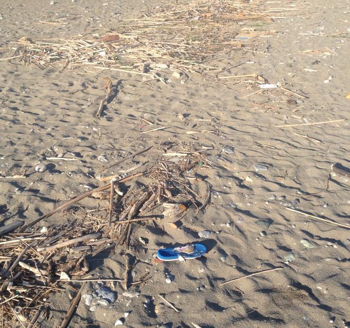 Mare sporco, la stagione balneare inizia male
Le immagini della spiaggia di Intavolata di Acquappesa