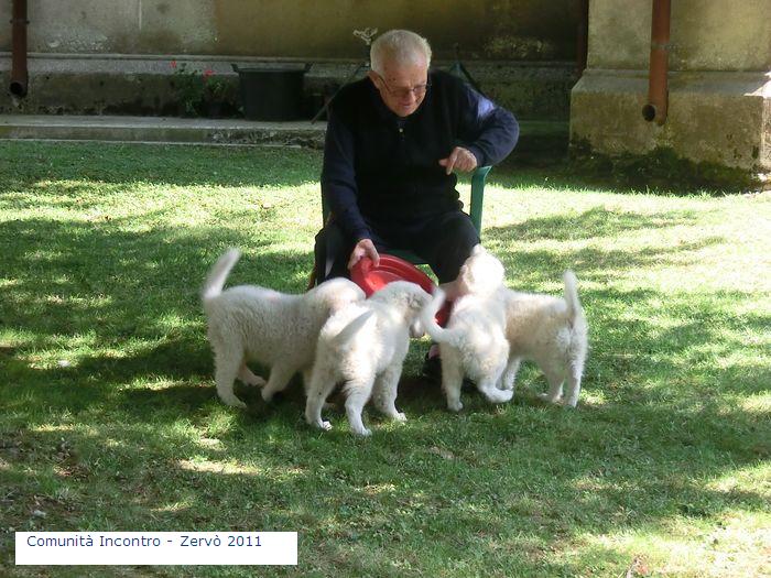 Muore a 89 anni don Pierino Gelmini
Le immagini dei suoi soggiorni a Zervò in Aspromonte