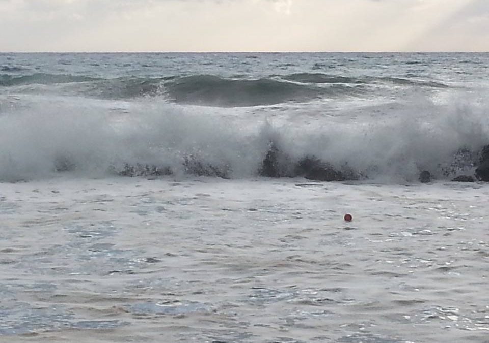 Maltempo, l’estate sembra finita all’improvviso
Le foto dei danni causati da pioggia e vento in Calabria