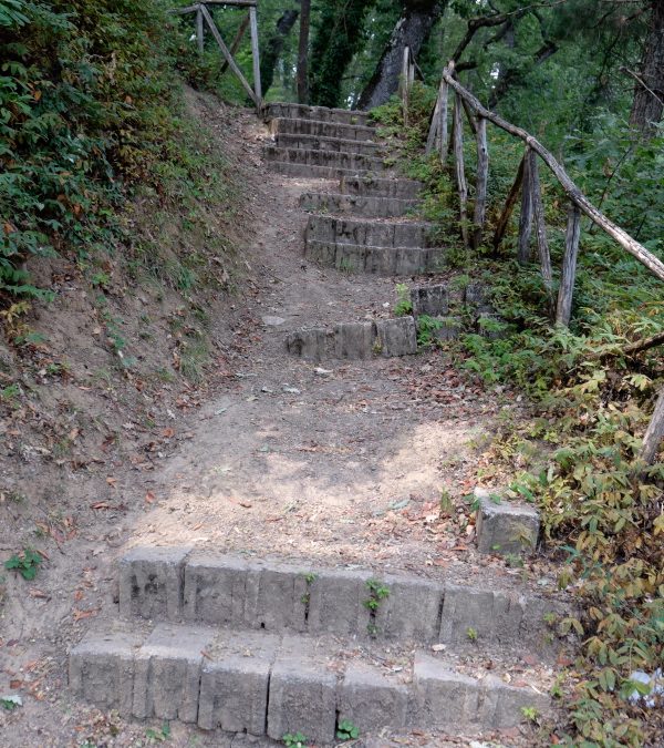 Viaggio tra i parchi della città
Che cosa resta di Sant’Antonio La Macchia