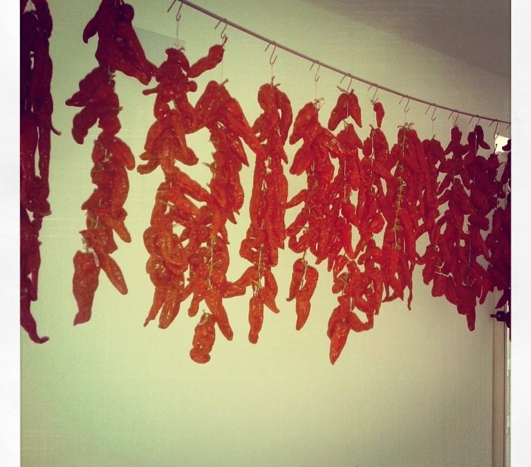 I luoghi ideali dell’utopia