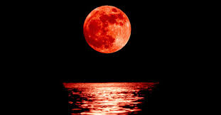 Eclissi di Luna al perigeo
Spettacolo nel cielo nella notte fra domenica e lunedì
