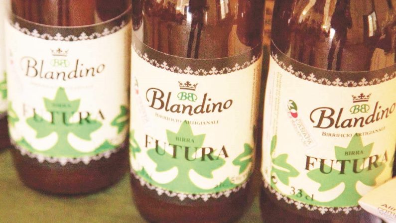 Produzione di una birra Crotonese con la cannabis