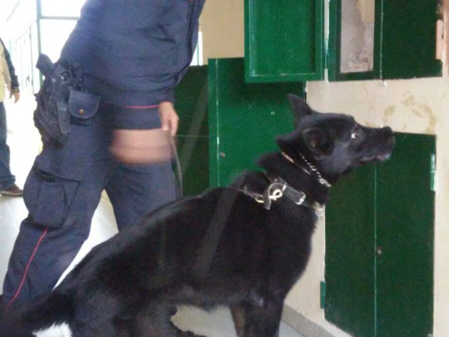 I carabinieri di Crotone arrestano due ragazzi per possesso di soldi falsi e droga