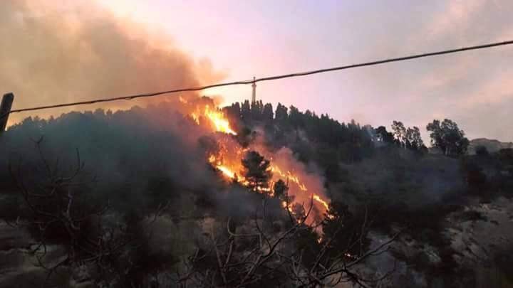 Incendio sulla collina di BelmonteDanneggiato anche un monumento