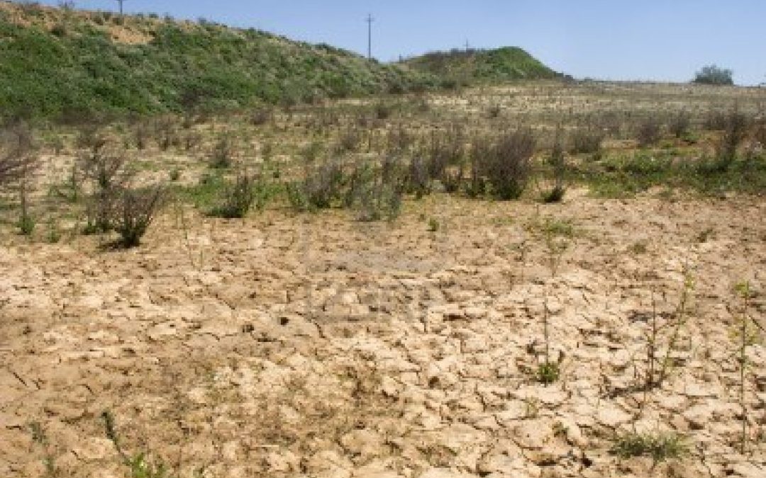 La Coldiretti lancia l’allarme siccità per l’agricoltura Calabrese