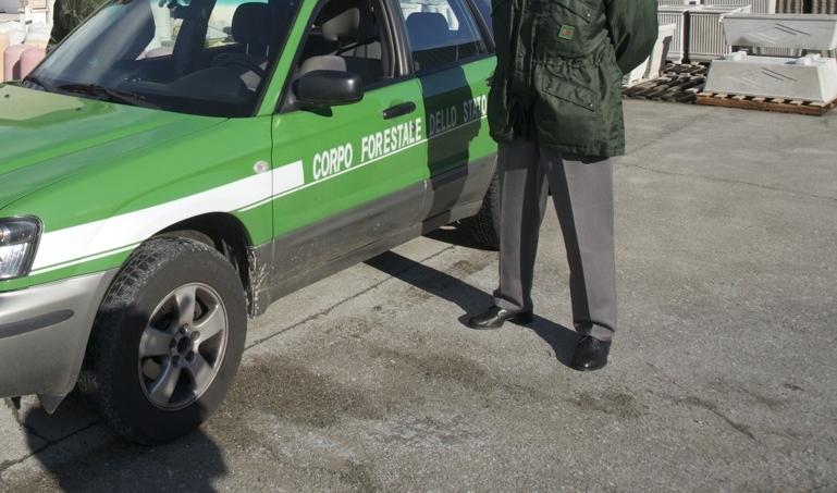 Rubava le acque del Sinni per irrigare
Agricoltore di Policoro sorpreso dalla Forestale