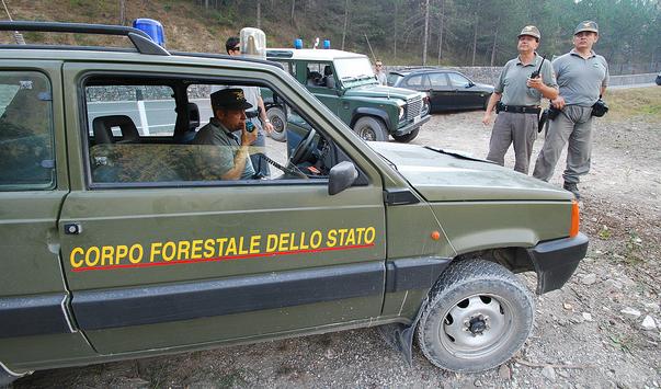 Si perde nelle montagne catanzaresi
Salvato dal Corpo forestale a Stilo