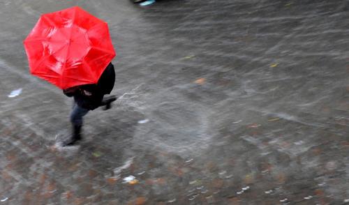 Maltempo in Basilicata
Fiumi oltre la soglia di allerta