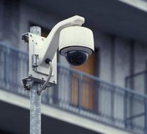 Distrutta telecamera videosorveglianza
Allarme nel quartiere di viale Isonzo