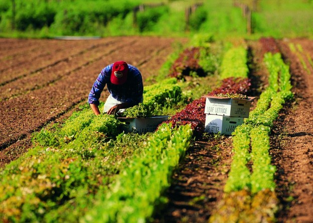 A breve l’accredito al mondo dell’agricoltura