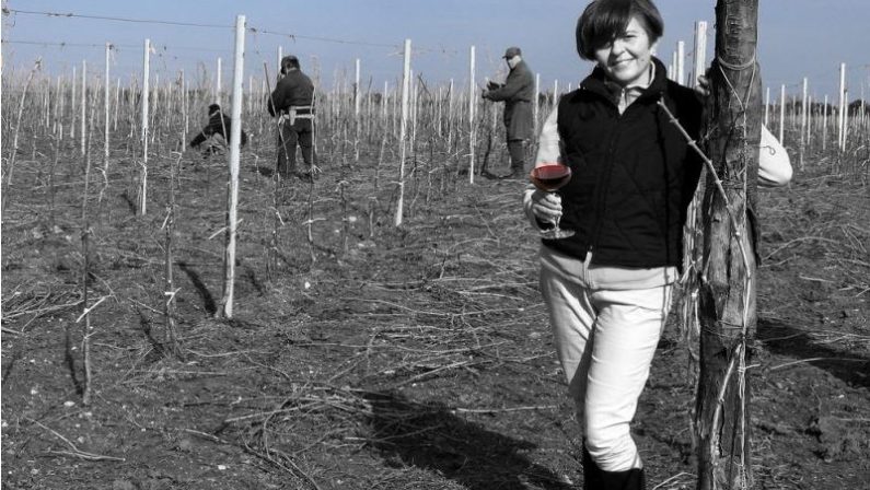 Cantine aperte, quando il vino crea turismo«L'Aglianico può trainare un intero territorio»