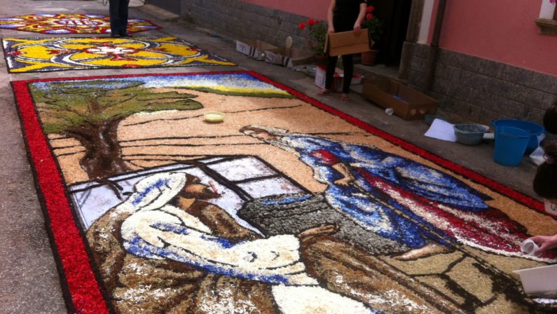 Torna la tradizione dell'infiorata a Potenzoni di Briaticoe il paese diventa un enorme tappeto di fiori colorati