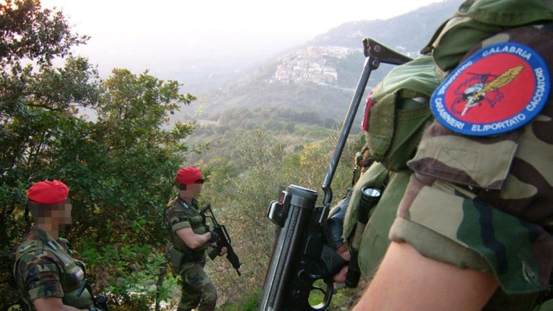 Arsenale e sei chili di droghe in un boscoLa scoperta dei carabinieri nel Reggino