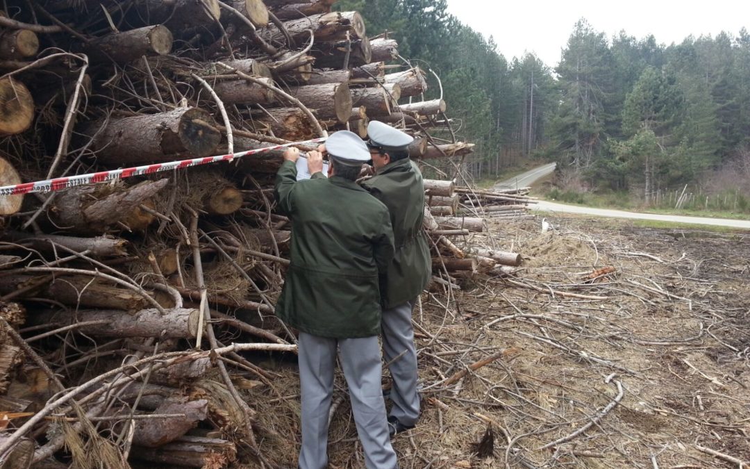 Alta Irpinia, il Corpo Forestale dello Stato ferma la realizzazione di un parco eolico