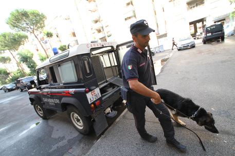 A Napoli i Carabinieri sequestrano 16 kili di droga