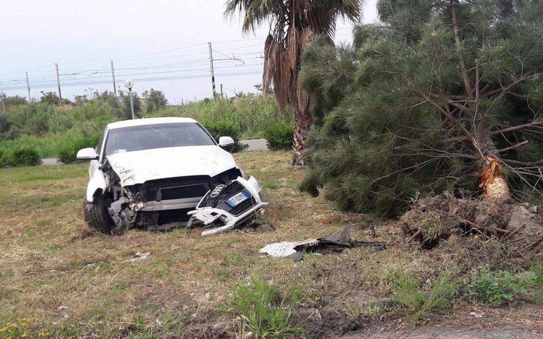 Auto sbanda e finisce contro una palma  Padre e figlio restano feriti nel Cosentino