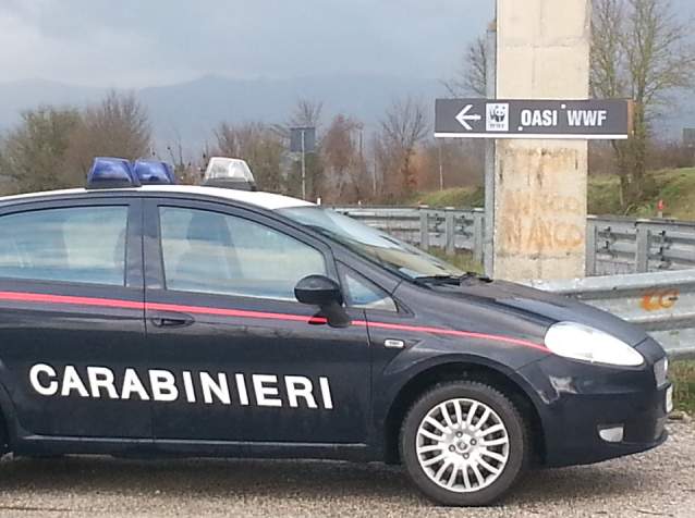 I Carabinieri scoprono piantagione di marijuana a Montecalvo