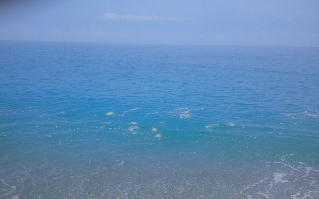 VIDEO – Giornata da incubo sulla costa di Amantea  Una grande chiazza maleodorante sino a riva