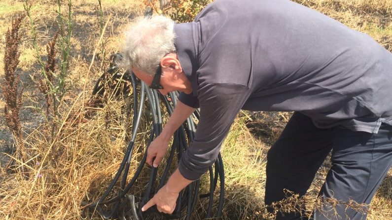 Lamezia Terme, le fiamme non fermano Progetto Sud Don Panizza: «Sanno benissimo che noi li denunciamo»