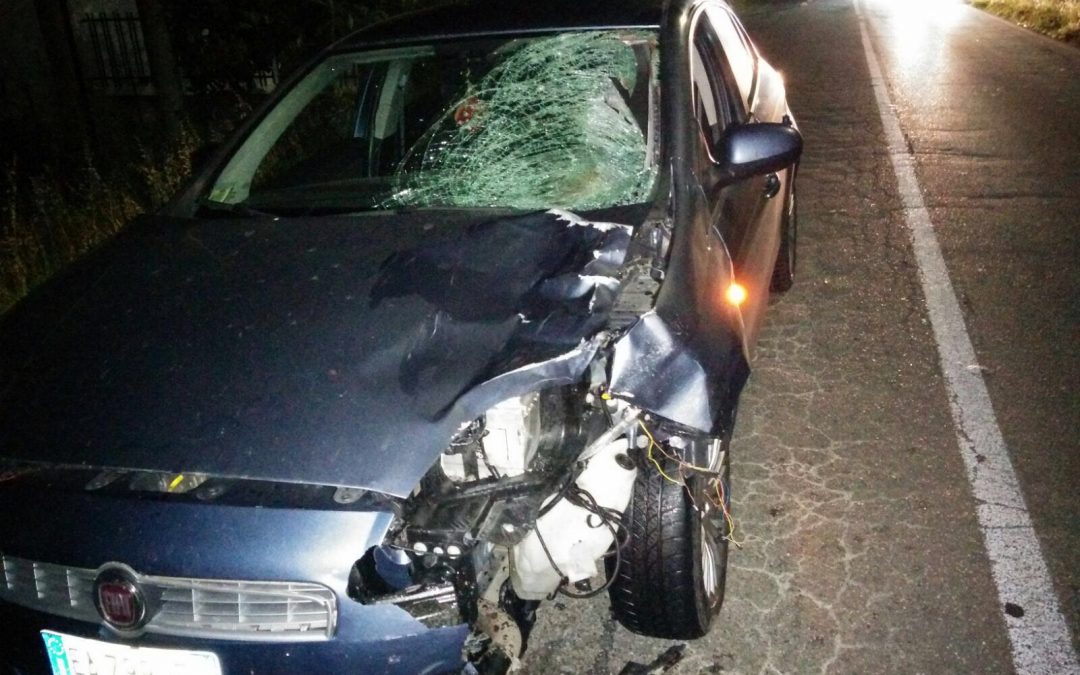 Donna investita nella notte a Rende: è morta sul colpo