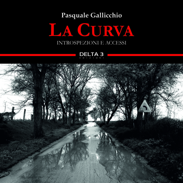 “La Curva”, Gallicchio presenta in Irpinia l’ultima fatica letteraria