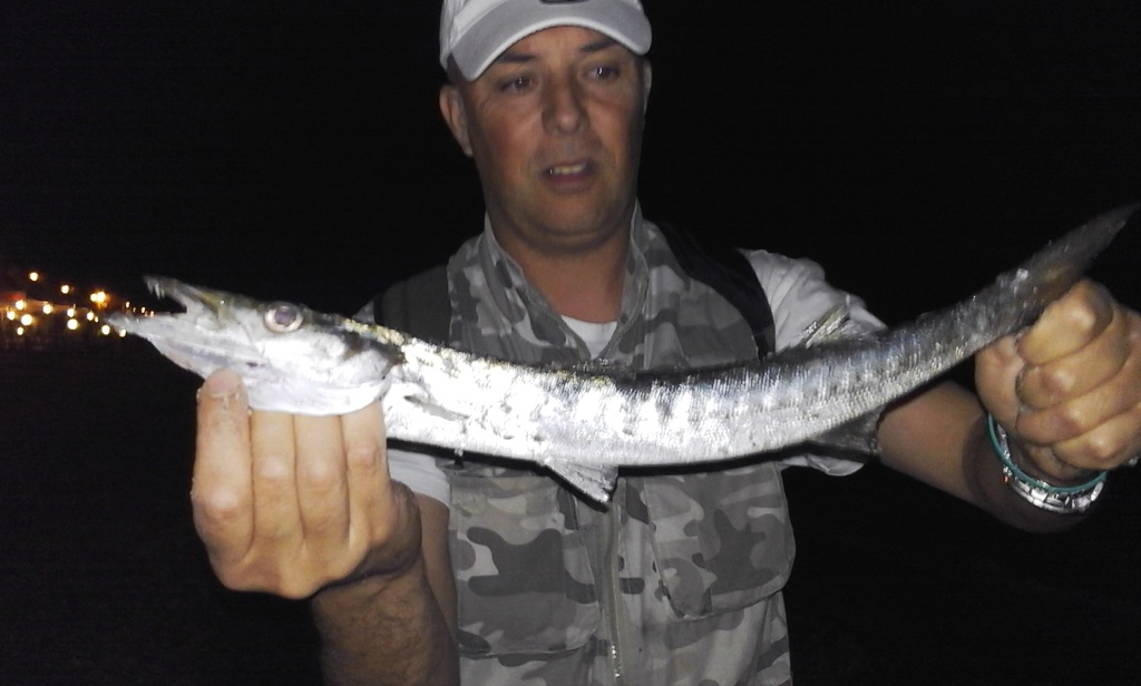 Pescato un esemplare di barracuda nel mare in provincia di Reggio Calabria