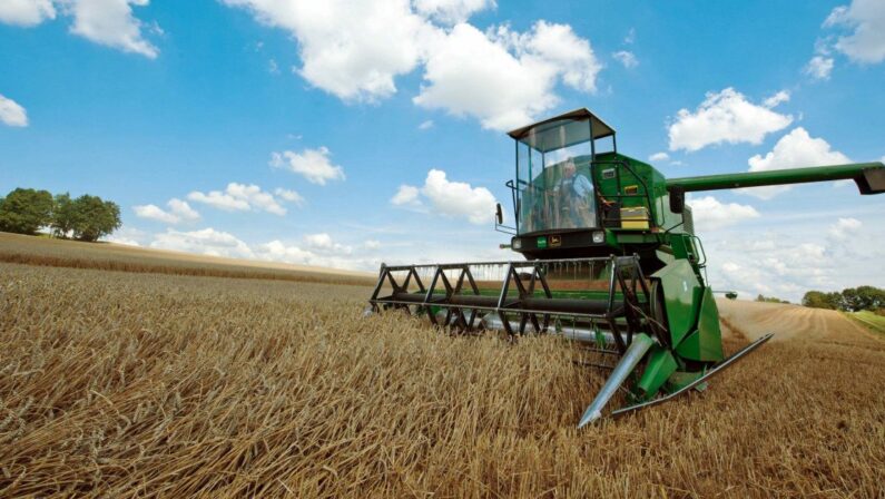 Nel 2022 in Puglia crollo della raccolta del grano per siccità e rincari. L'allarme di Coldiretti