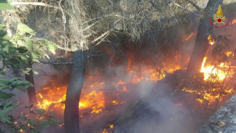 FOTO - Incendio nel Crotonese, danni ingentiFiamme divorano aziende e automezzi