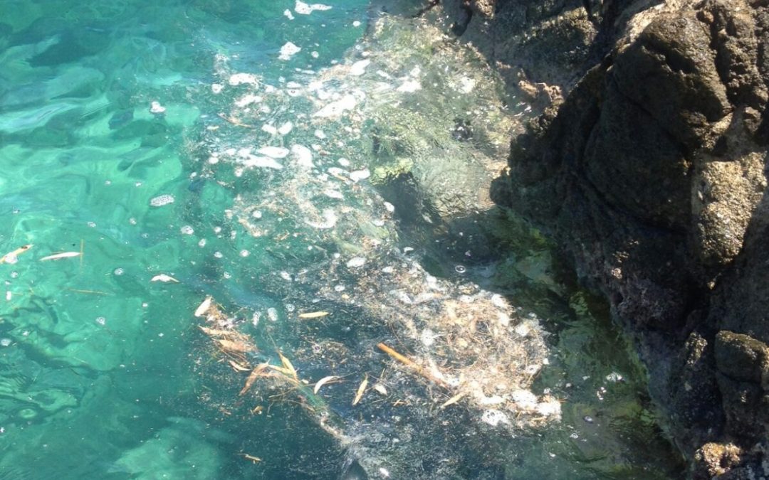 FOTO – Liquami in mare a Stalettì, sulla costa jonica catanzarese