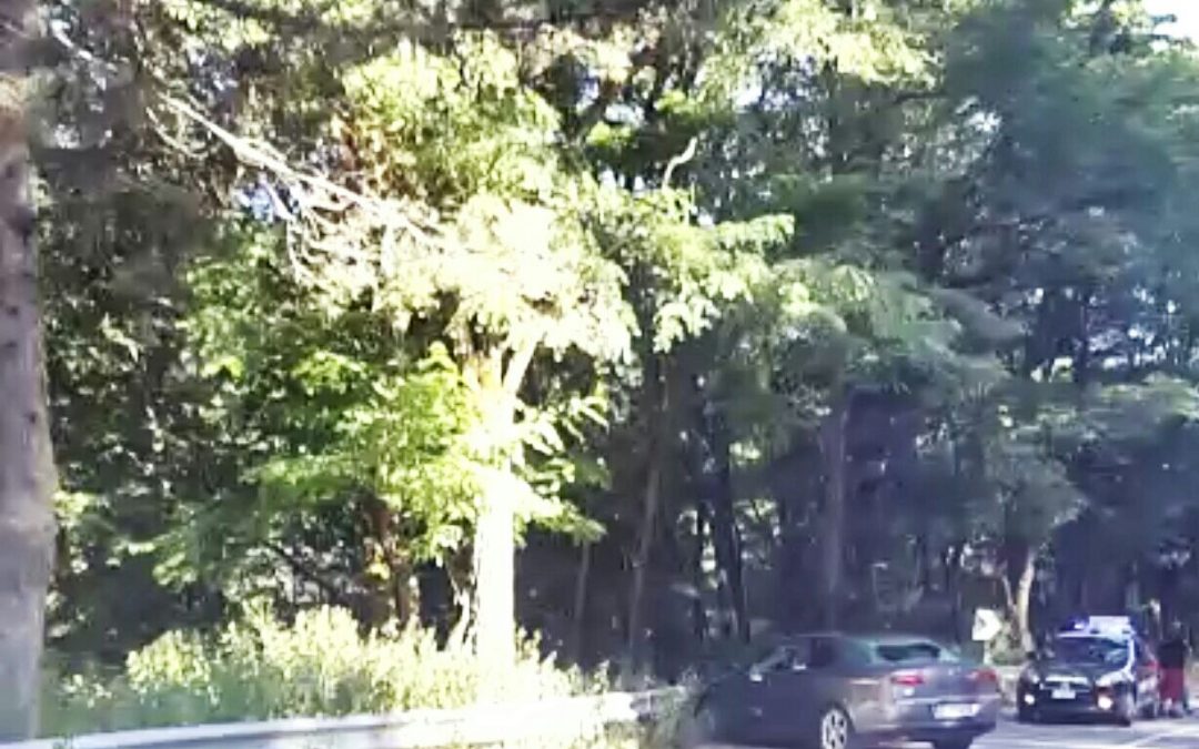 L'autovettura di Gigliotti crivellata di colpi