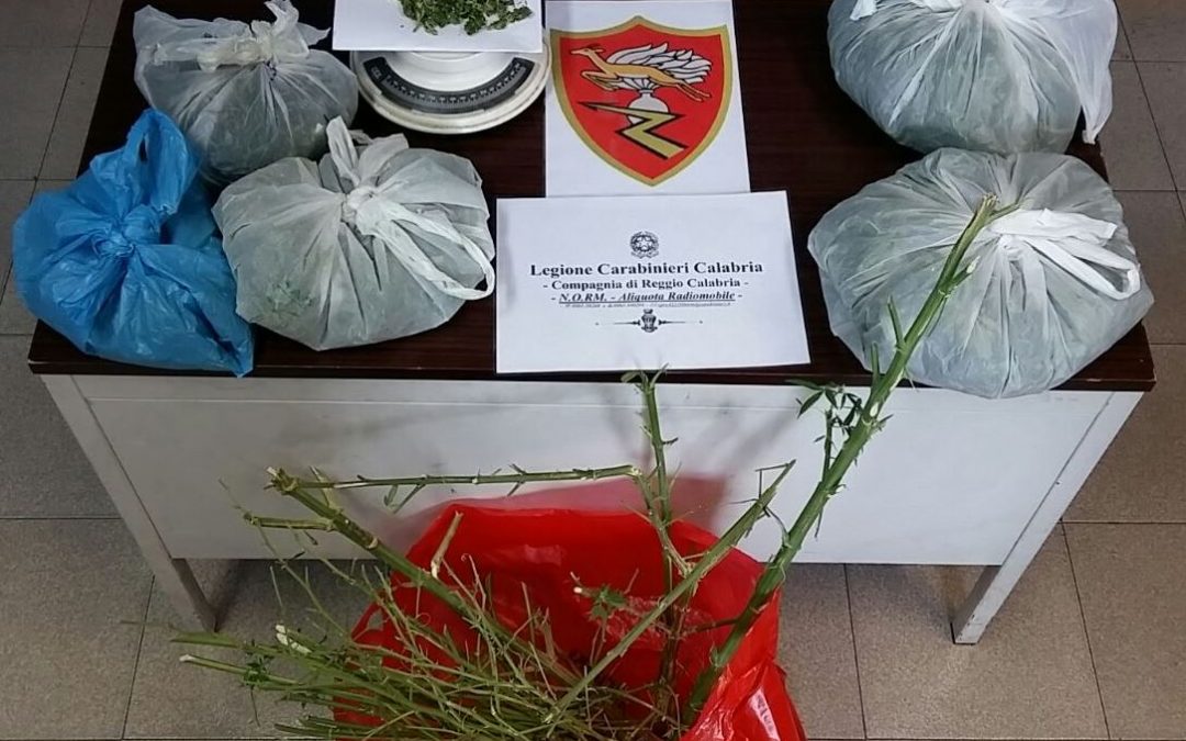 La droga sequestrata dai carabinieri