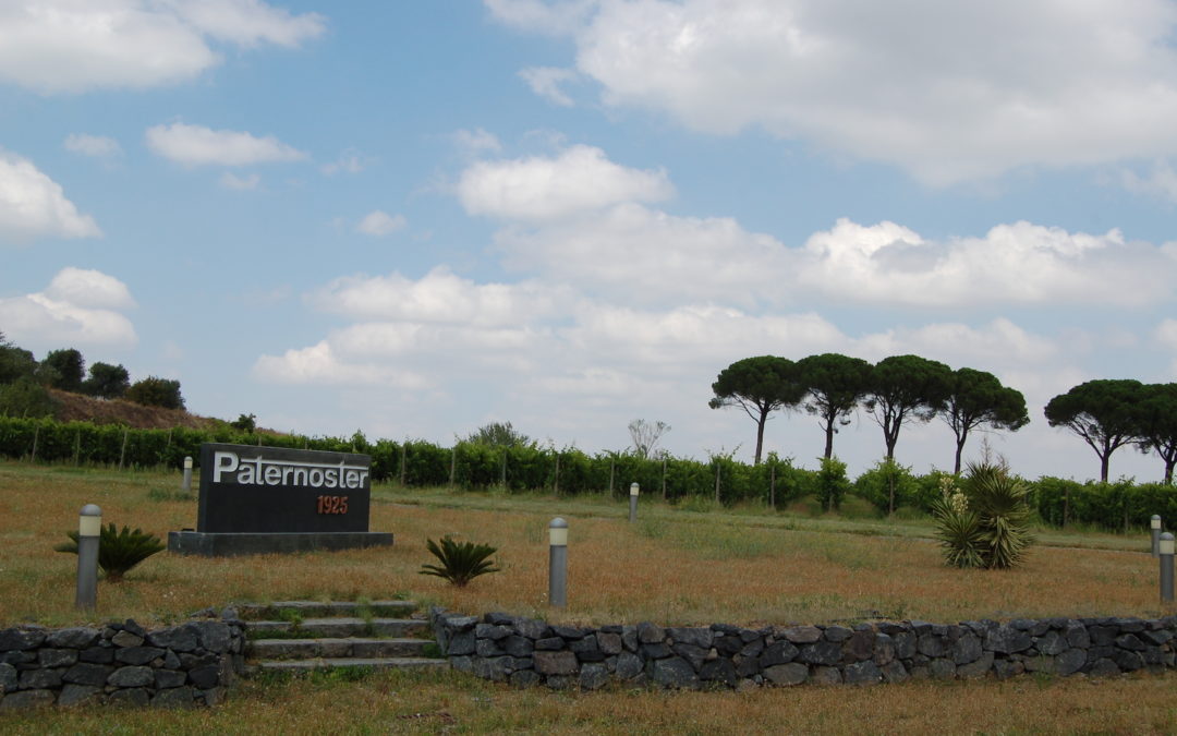 Valpolicella-Aglianico, alleanza produttivo-commerciale tra due storiche famiglie del vino