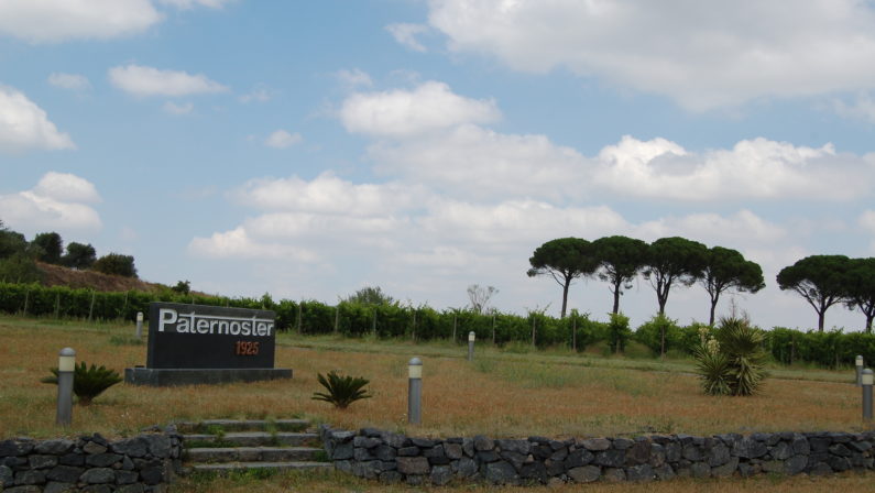 Valpolicella-Aglianico, alleanza produttivo-commerciale tra due storiche famiglie del vino