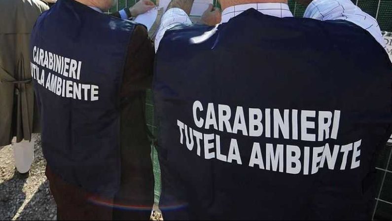 Sversamenti nel fiume Sarno, controlli del Noe