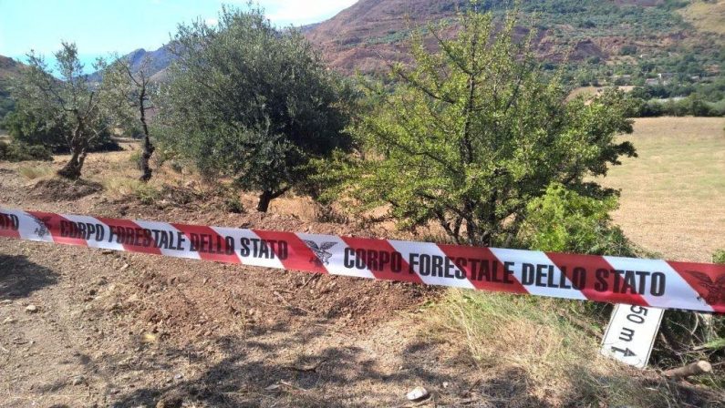 Stavano costruendo una strada abusiva, sequestrata area in provincia di Cosenza