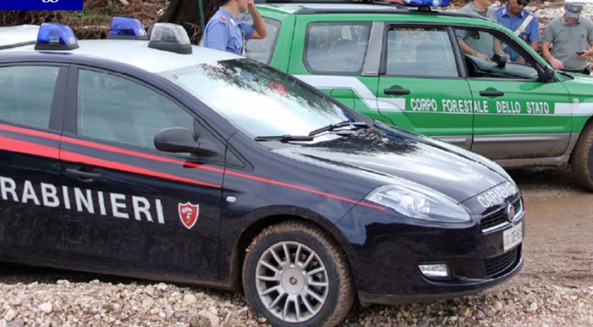 Incendi, arrestato mentre appicca il fuoco nel parco d’Aspromonte