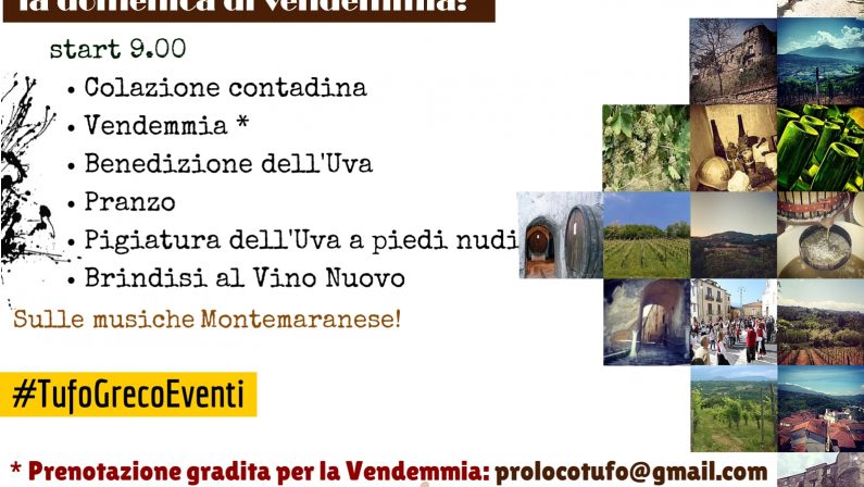 A Tufo rivive il rito della pestatura nell'uva con la Festa della vendemmia