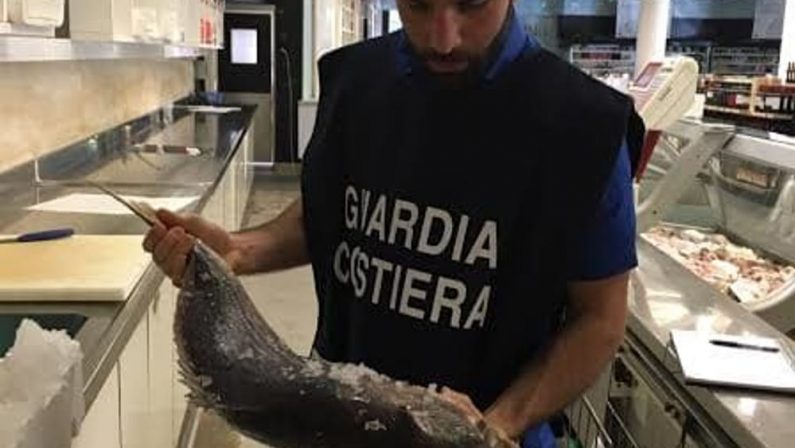 Sequestrati trentacinque esemplari di pesce spadaPesante sanzione per un diportista nel Crotonese